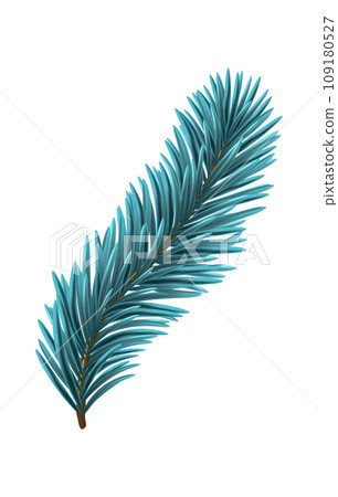 Blue Christmas Fir Branch Blue Christmas Fir Branch 109180527