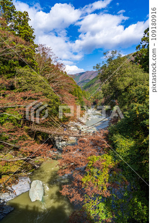 [Tokushima] Kazura Bridge in Iya [Autumn] 109180916