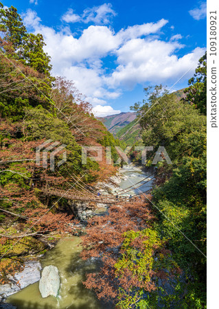 [德島] Iya [秋天]的Kazura橋 109180921