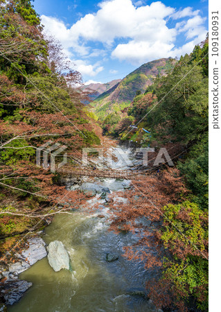 [德島] Iya [秋天]的Kazura橋 109180931