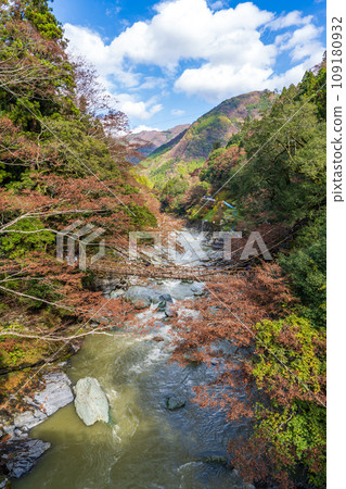 [Tokushima] Kazura Bridge in Iya [Autumn] 109180932