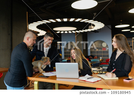 Colleagues discuss issues using device with Shih Tzu 109180945