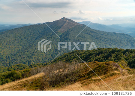 Polonina Wetlinska, Bieszczady mountain, Bieszczady National Park, Poland. 109181726
