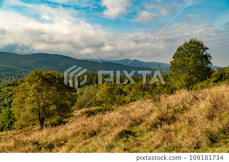 Polonina Wetlinska, Bieszczady mountain, Bieszczady National Park, Poland. Polonina Wetlinska, Bieszczady mountain, Bieszczady National Park, Poland. 109181734