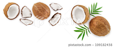 coconut isolated on white background with copy space for your text. Top view. Flat lay 109182438
