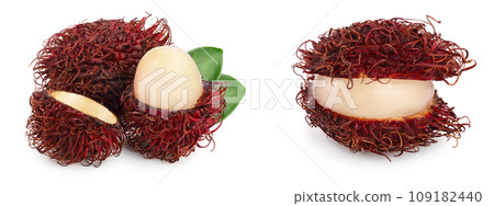 rambutan with leaves isolated on white background. Tropical fruit. Nephelium lappaceum 109182440