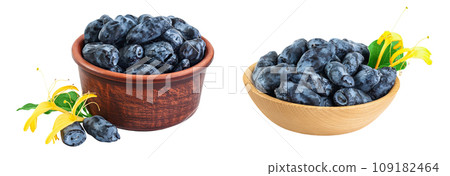 Fresh honeysuckle blue berry in ceramic bowl isolated on white background with full depth of field Fresh honeysuckle blue berry in ceramic bowl isolated on white background with full depth of field 109182464