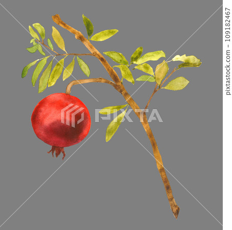 Hand drawn branch with a fruit 109182467