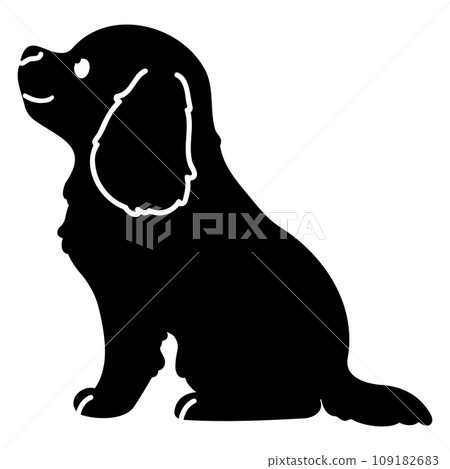 Sitting Cavalier King Charles Spaniel silhouette with face Sitting Cavalier King Charles Spaniel silhouette with face 109182683