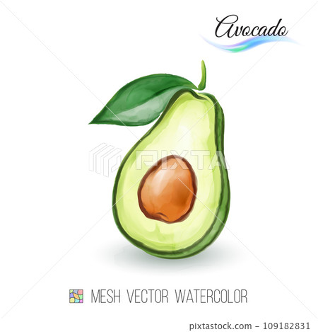 Avocado 109182831