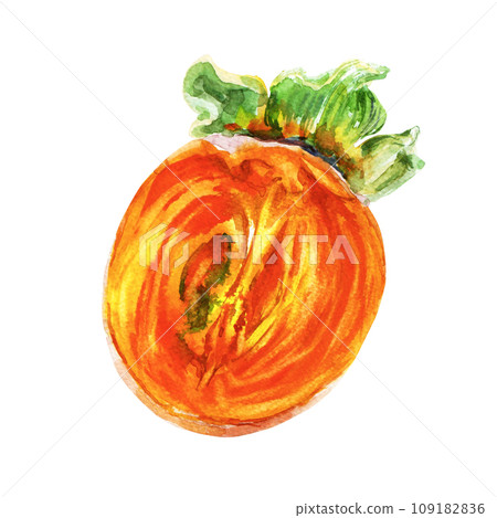 Hand drawn watercolor persimmon, isolated on white background. Delicious fruit clip-art illustration. Realistic painting,would look great on fabric, kitchen towels or food packaging 109182836