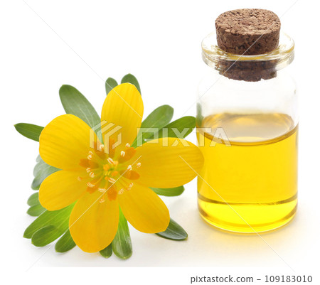 Eranthis hyemalis and medicinal extract Eranthis hyemalis and medicinal extract 109183010