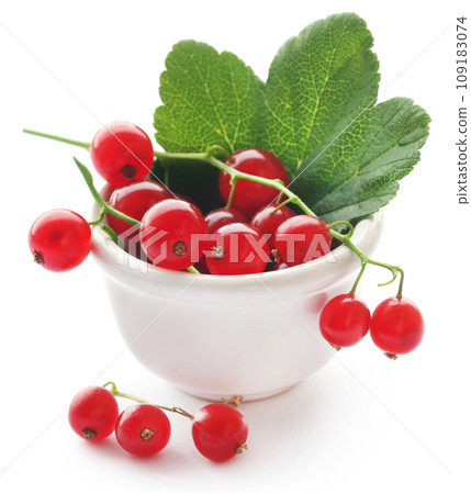 Fresh red currant 109183074