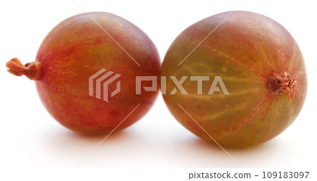 Fresh ripe gooseberry 109183097