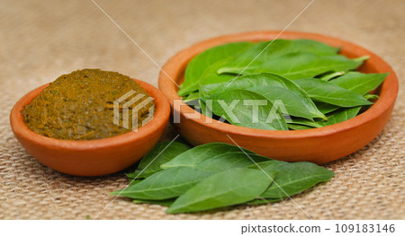 Ayurvedic henna leaves 109183146