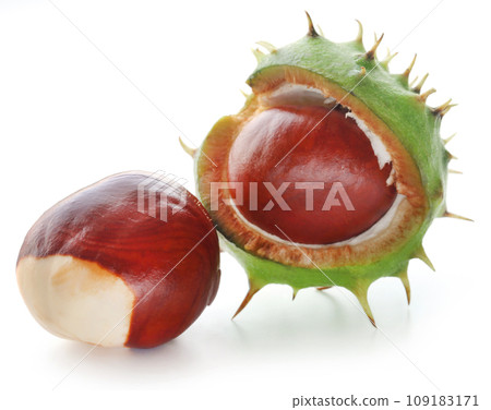 Horse chestnuts Horse chestnuts 109183171