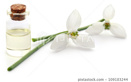 Snowdrop with essential oil in a bottle 109183244