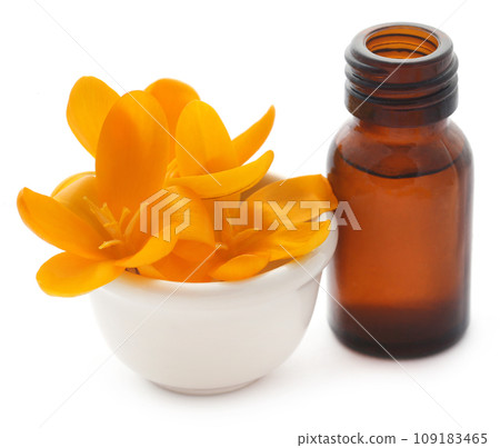 Yellow Crocus or Saffron with essential oil 109183465