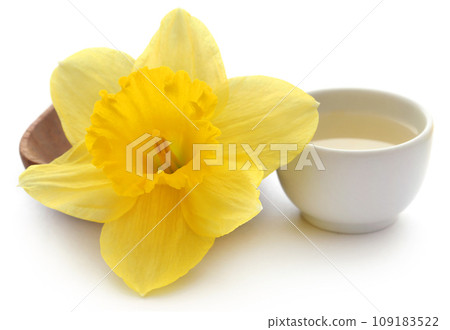 Flower daffodil with extract in a bowl 109183522