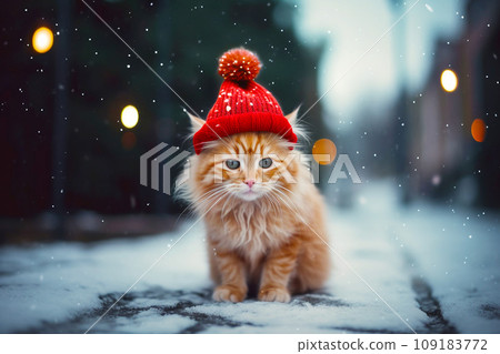 Cute cat wearing a red christmas hat outside in a snowy, winter background 109183772