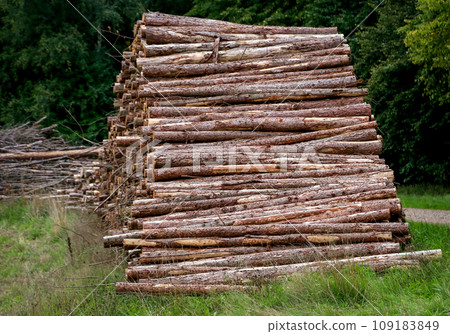Lumber in rural area of Denmark 109183849