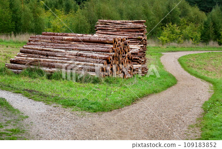 Lumber wood in Denmark Lumber wood in Denmark 109183852