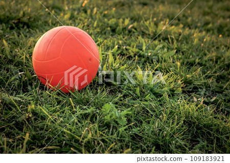 Beach Volleyball on green grass Beach Volleyball on green grass 109183921