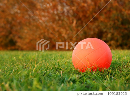 Beach Volleyball on green grass 109183923