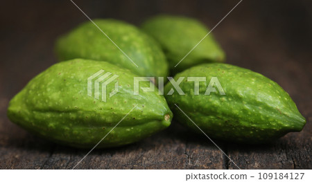 Green haritaki fruits Green haritaki fruits 109184127