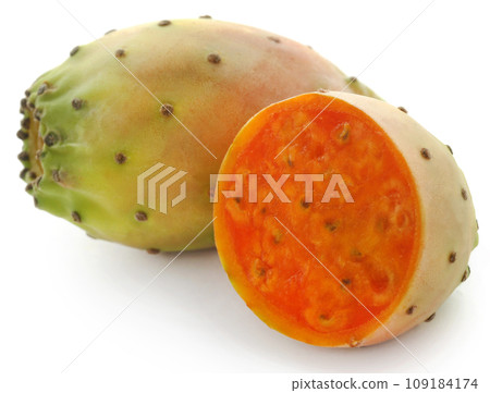 Prickly pear Prickly pear 109184174