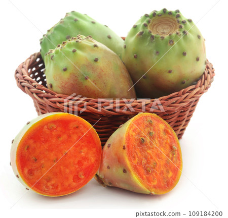 Prickly pear 109184200