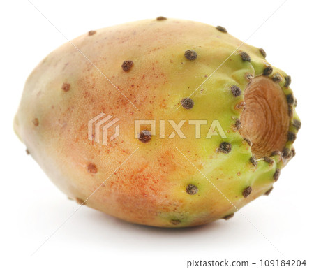 Prickly pear 109184204