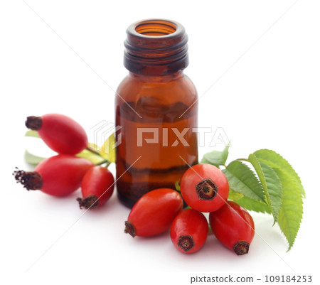Medicinal Rose hips with essential oil in a glass bottle Medicinal Rose hips with essential oil in a glass bottle 109184253