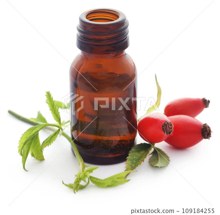 Medicinal Rose hips with essential oil in a glass bottle Medicinal Rose hips with essential oil in a glass bottle 109184255