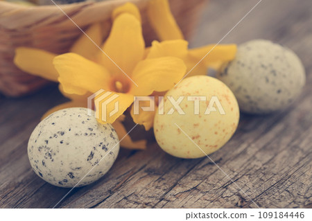 Easter egg with spring flower forsythia 109184446