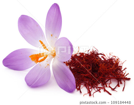 Saffron with crocus flower 109184448