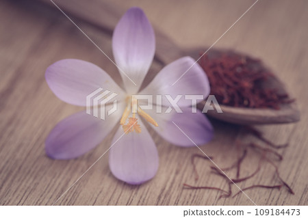 Saffron with crocus flower 109184473