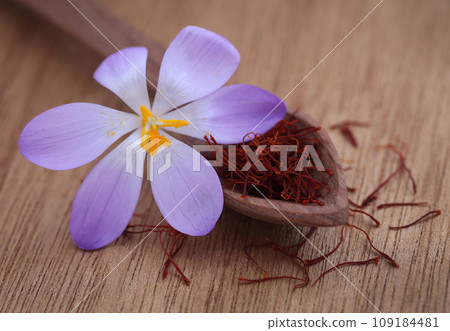 Saffron with crocus flower 109184481