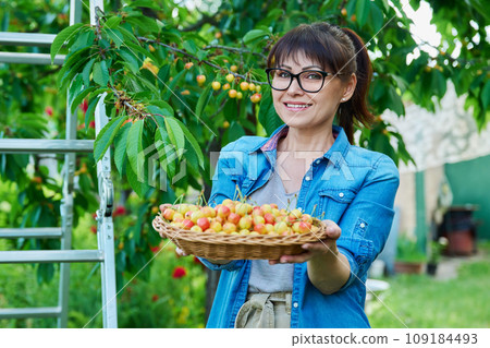 Smiling woman with basket of fresh yellow cherries near cherry tree in summer garden 109184493