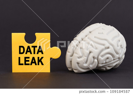 On a black surface there is a brain and a yellow puzzle with the inscription - DATA LEAK 109184587