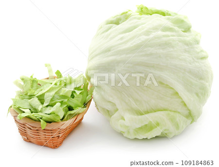 Fresh sliced Iceberg lettuce in a basket Fresh sliced Iceberg lettuce in a basket 109184863