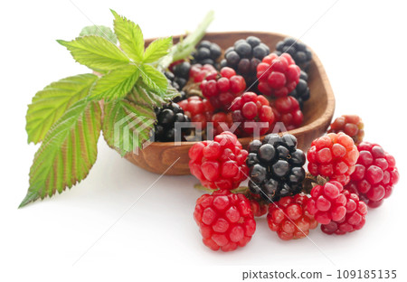 Fresh blackberries Fresh blackberries 109185135