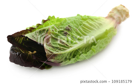 Fresh Romaine lettuce 109185179