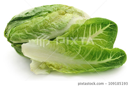 Fresh Romaine lettuce Fresh Romaine lettuce 109185193