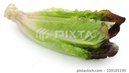 Fresh Romaine lettuce Fresh Romaine lettuce 109185199