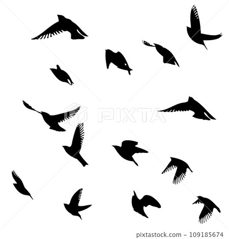 Flying birds silhouette flock. hand drawing. Not AI, Vector illustration Flying birds silhouette flock. hand drawing. Not AI, Vector illustration 109185674