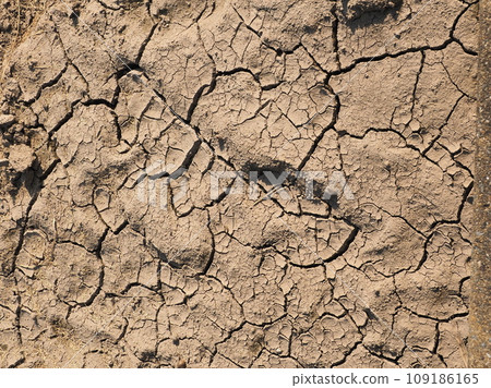 缺水 缺水 109186165