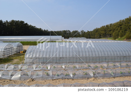 農業塑料房子 農業塑料房子 109186219