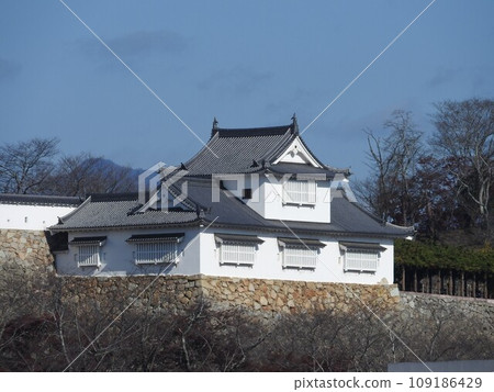 Tsuruyama Park (Tsuyama Castle), one of the top 100 cherry blossom spots in Tsuyama City, Okayama Prefecture: Bitchu Yagura Tsuruyama Park (Tsuyama Castle), one of the top 100 cherry blossom spots in Tsuyama City, Okayama Prefecture: Bitchu Yagura 109186429