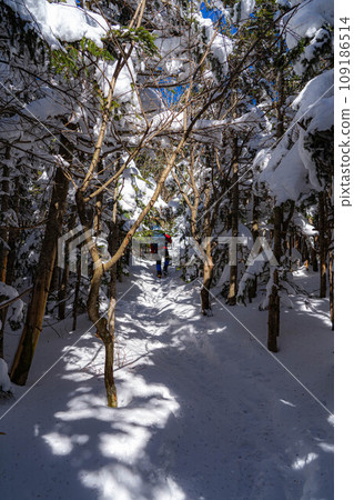 [Winter material] Climbing scenery of Mt. Kitayokodake in snow [Nagano Prefecture] 109186514
